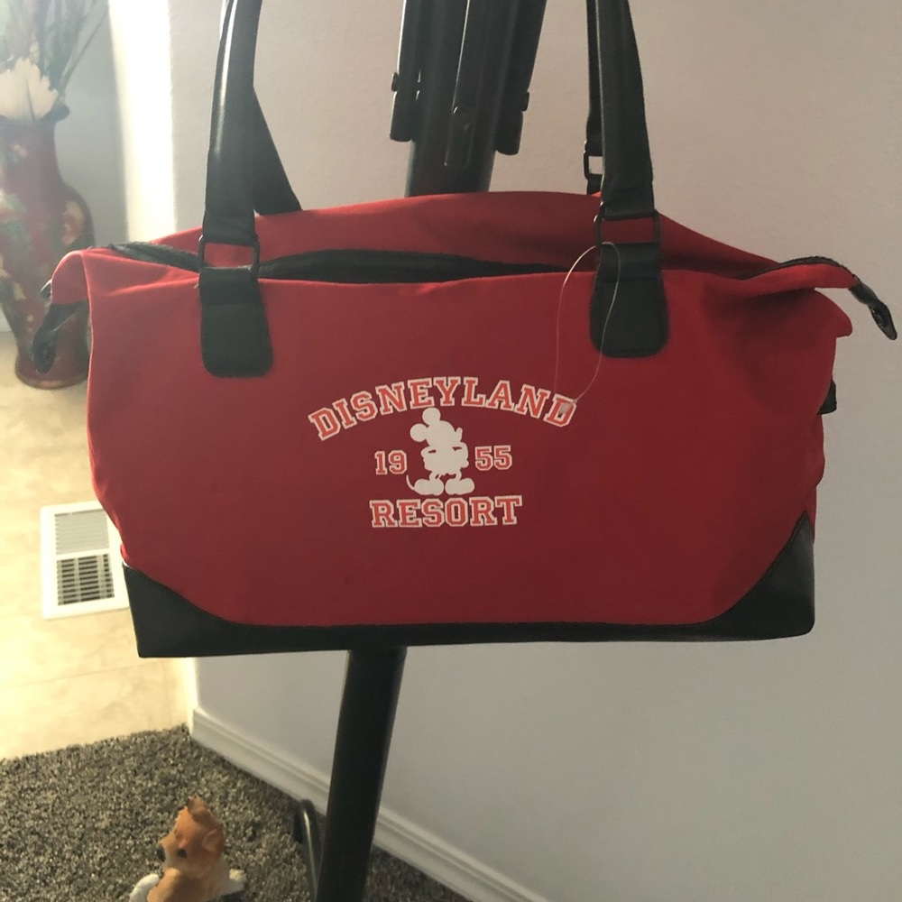 Disneyland duffle bag